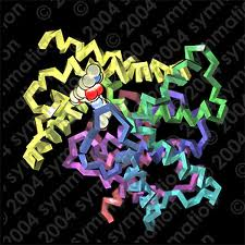 PHOSPHODIESTERASE