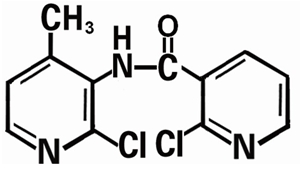 2-chloro-N-(2-4-methyl pyridine chloride-3-base) niacinamide