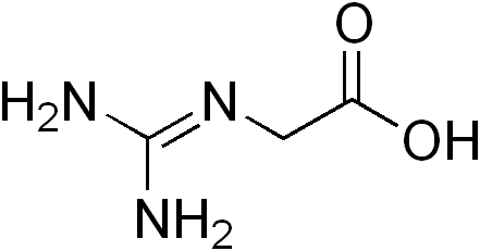 Glycocyamine