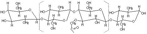 Sodium Carboxymethyl Cellulose