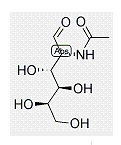 N-acetyl-β-D-galactosamine
