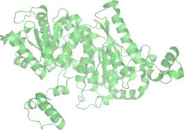 Glucose isomerase