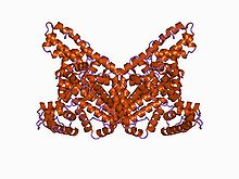 Albumin