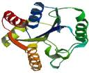 Nicotinamide Riboside