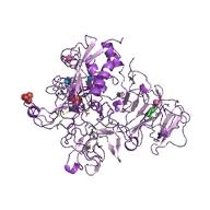 Actamycin