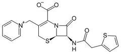 Cefaloridine