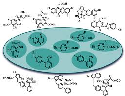 Aldose Reductase